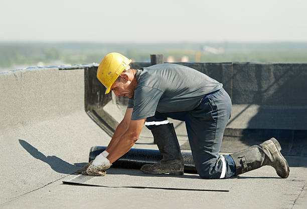 Best Eco-Friendly Insulation in West Crossett, AR